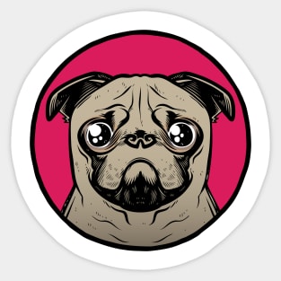 Sad Pug Sticker